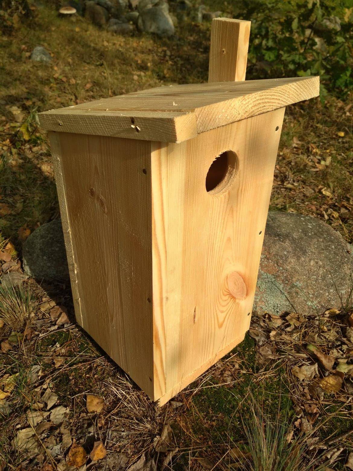 “Mali sąsiedzi” wokół Cerkwi